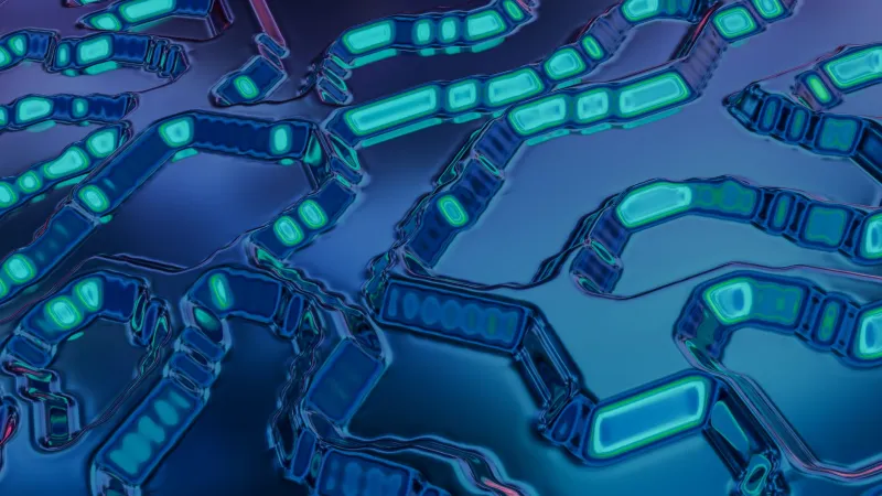 Hidden in Plain Sight: The Communities Building Secret Rooms Inside the Open Internet
