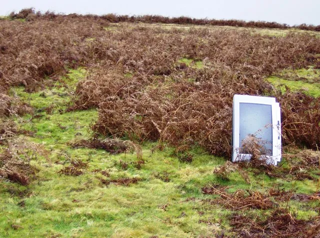Nobody Home: The Rise of the Carefully Built Profile That Was Never Meant to Be Found